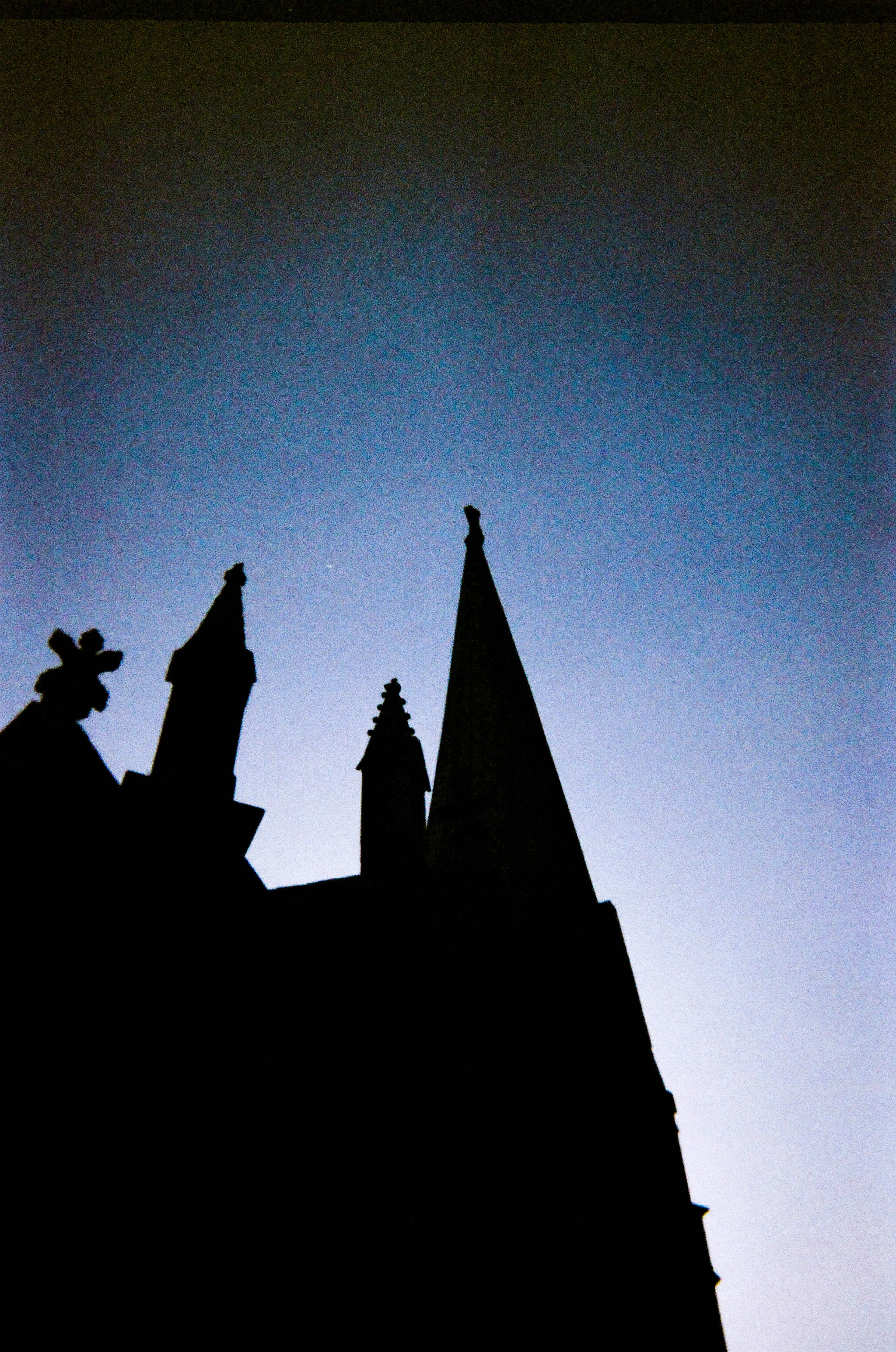  Steeple Chase 