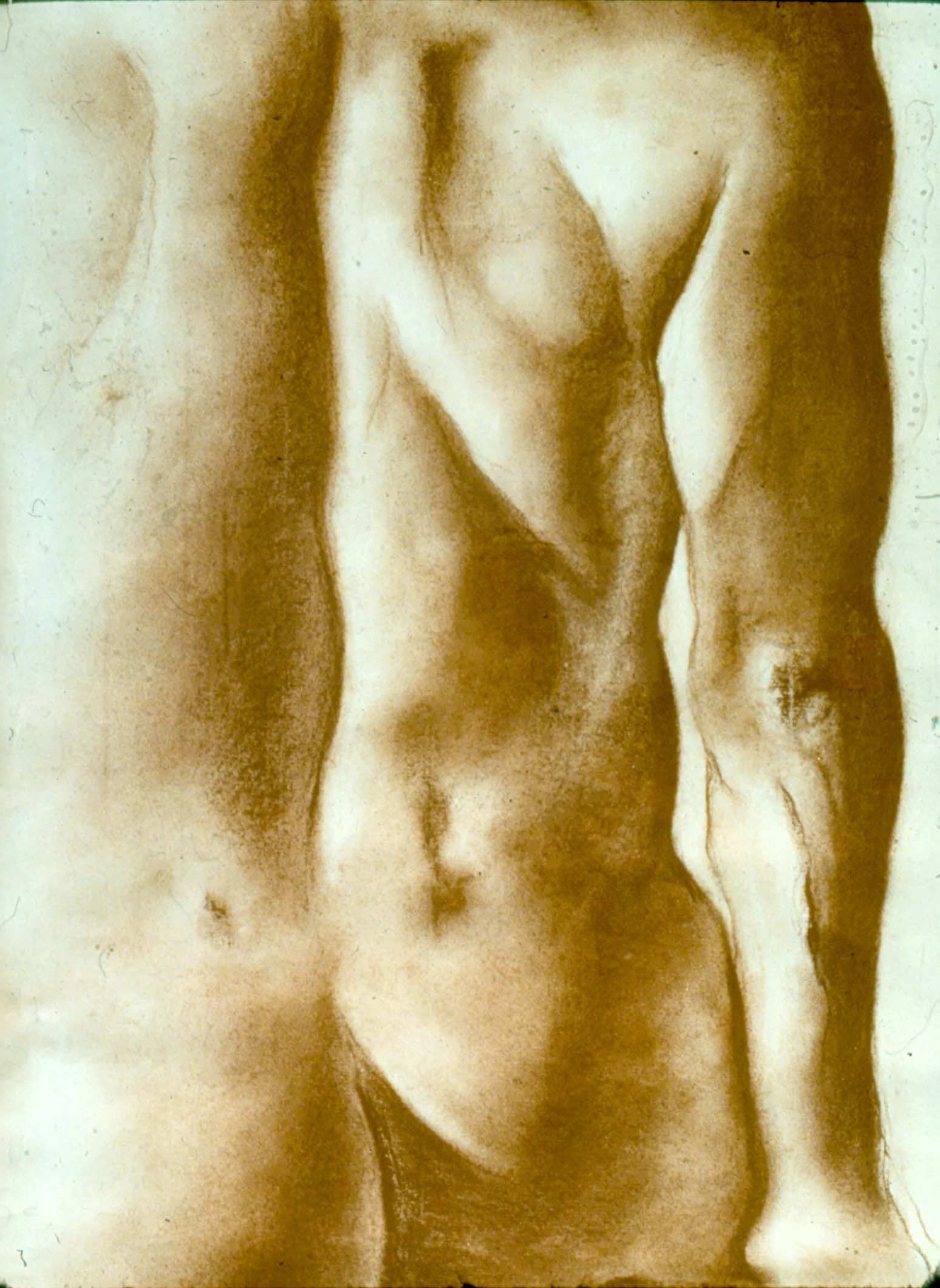 male back lifedrawing - conte crayon