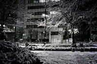 Pray for Tokyo: Snow