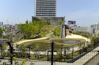 Pray for Tokyo: Setagaya and Meguro