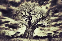 The Problem with Not Developing Leaders