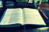 Bible Plan for 2016?