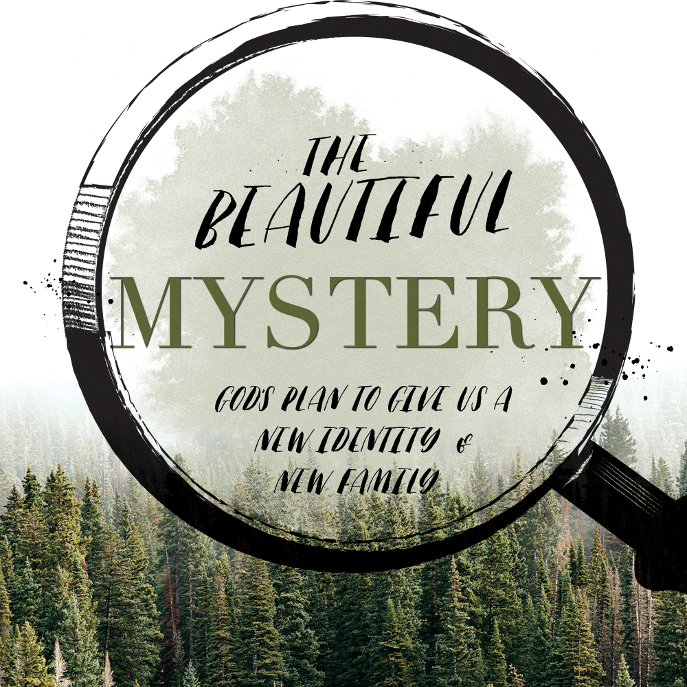 Lavished (Ephesians 1:11-12)