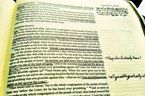 Review: ESV Single-Column Journaling Bible