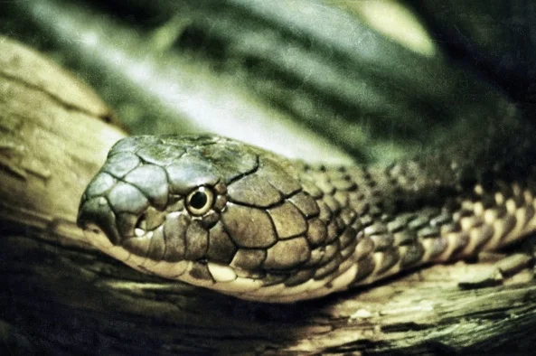 Why Satan May Love Your Accountability Group