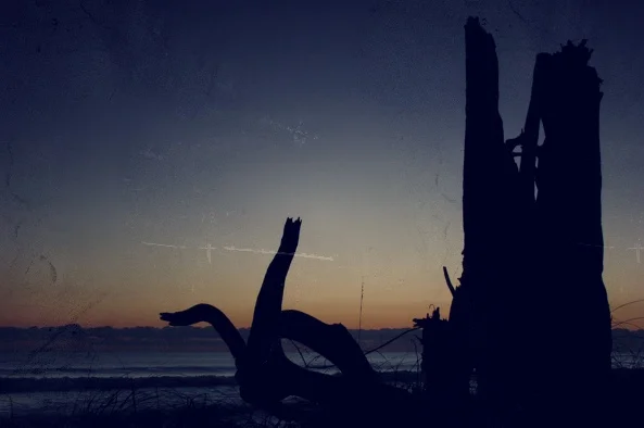 Happiness and Purpose