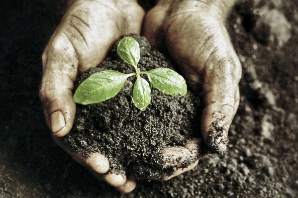 Why Pray by Name? God Gives the Growth