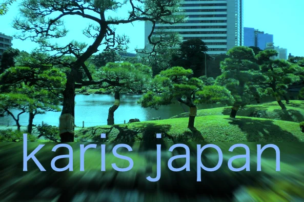 Karis Japan 2015: Day Three