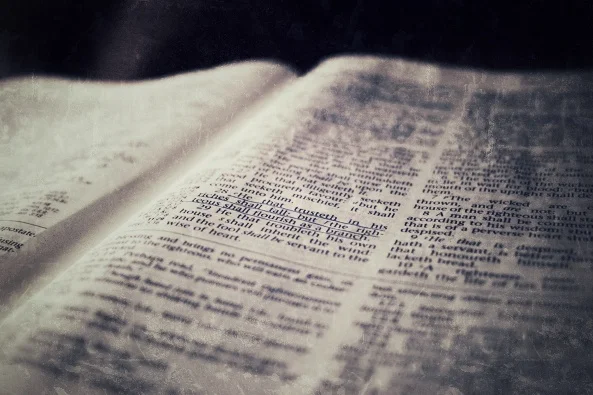 Read the Bible in 2015