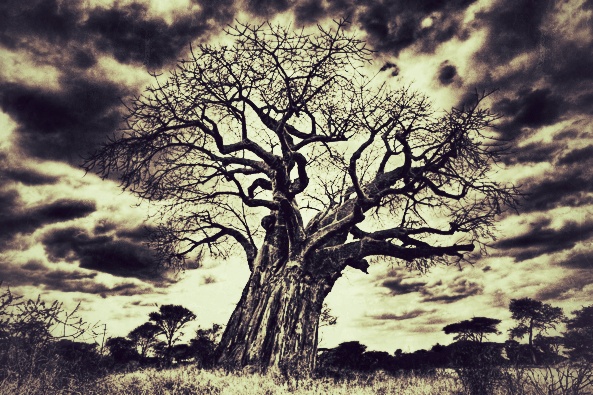 The Problem with Not Developing Leaders