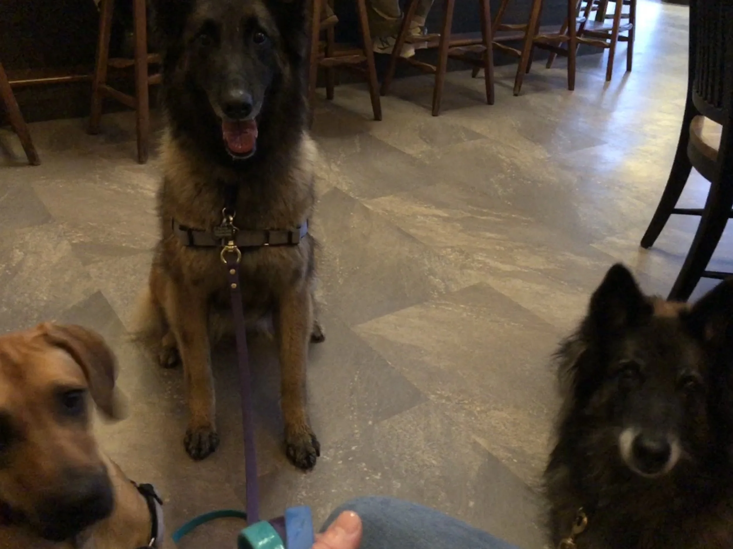 The girls enjoy a night out at Red Oak Brewery! 