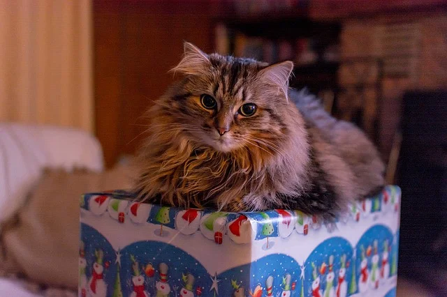 The holidays are approaching quickly-hard to believe Thanksgiving in a few weeks, and Christmas right after that! So what are some things you can do to make sure the holidays are safe and fun for your pets?! **The holidays are a time of the year when family and friends are visiting which means lots of people going in and out of your house…and lots of chances for your pet to slip out the door. Having people over? Make sure your pets are secure, so they cannot slip out through an opened door. This might mean keeping them confined to a bedroom or laundry room until your visitors leave. **Lots of new foods and treats are around. Maybe you are baking cookies or putting together care packages for gifts, but there are normally yummy treats laying around. These are tempting for your pets, so make certain they are placed high enough that your pets (even the most determined ones!!!) cannot reach them. Also while it is tempting to share your holiday meals with your four legged friends, try to resist the urge! New food, especially ones that are richer can make your pet very sick. **Decorations are often our favorite part of the holidays and they may be your pet’s too! But make sure they are safe for your pet. You may need to block off the christmas tree or not allow your pet access to areas where the decorations are, to make certain your pets do not get into the decorations. **We all love to spoil our four legged family members with presents too, but make certain they are safe for your pet. While it is tempting to give your dog the largest rawhide you can find, even when your dog never gets rawhide. Resist! Give treats and toys in moderation and make certain they are ones your pet is accustomed to so they do not get sick. The last thing you during your holiday party is a dog or cat with an upset stomach! ** Christmas puppies and kittens-so much fun! But again, this may not be the best time of year to add a new four legged friend to your family! Puppies and kittens take a lot of time and attention. If you want to add a new four legged family member, it might be better to wait until after the holiday season when your family can devote all of their attention to the new pet. Holidays are hectic, and adding a new four legged friend during this time, can be hard. Enjoy the holidays and keep your pets safe! Boo Donoho, DVM #SouthernAnimalHospital