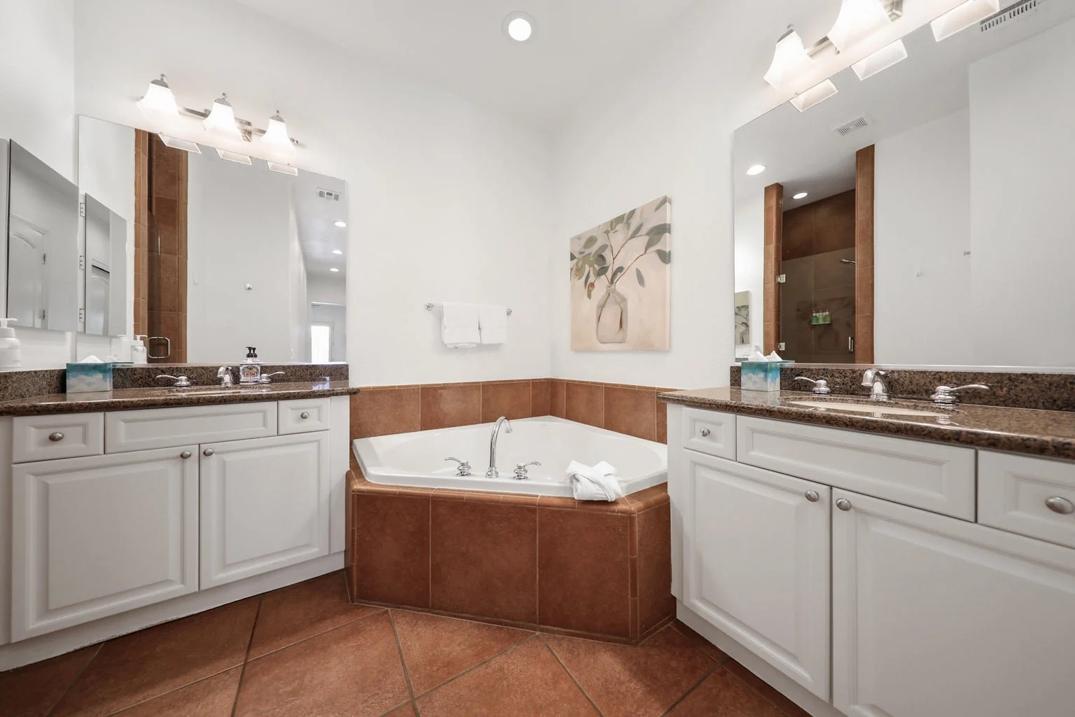 Primary Suite Bathroom