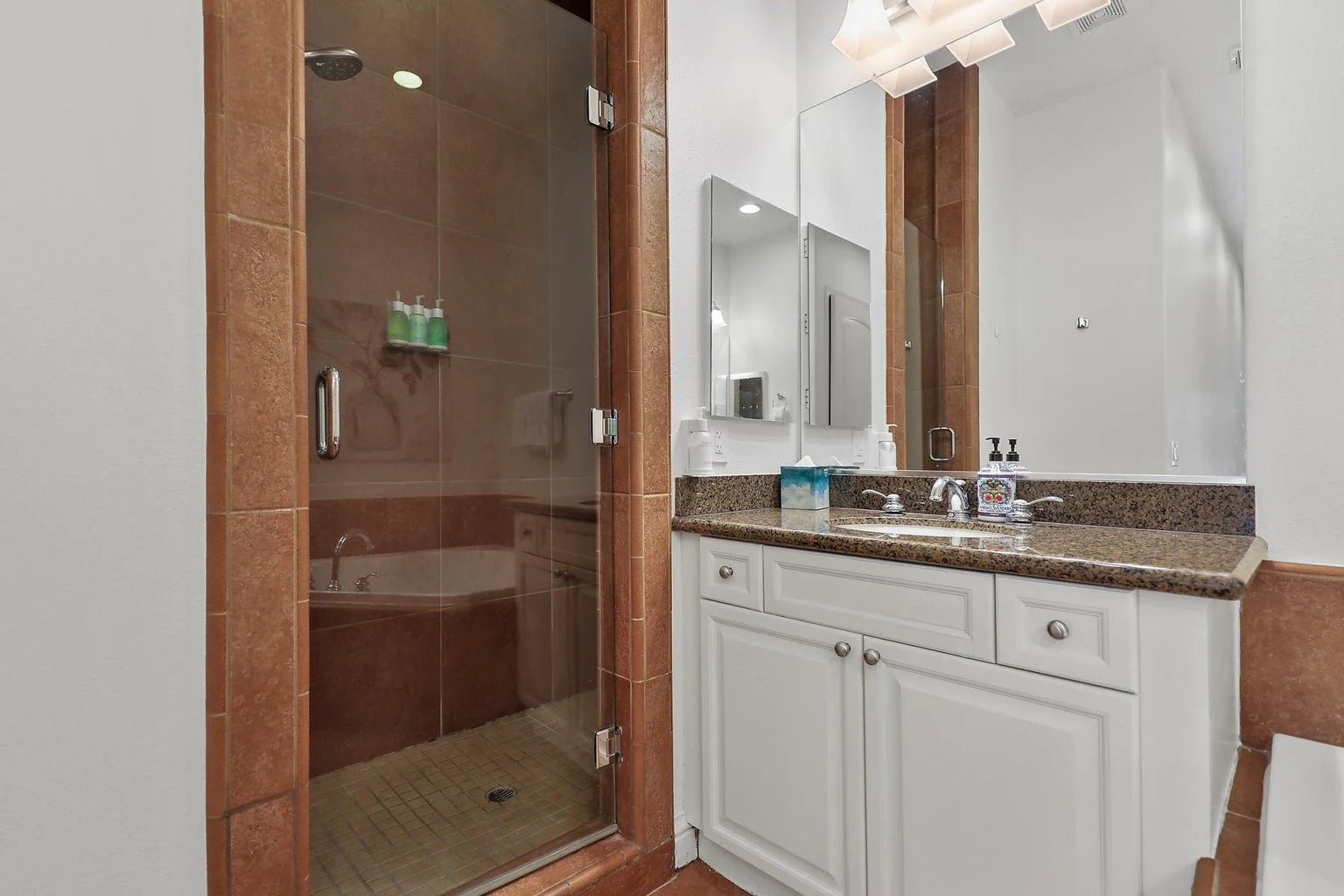 Primary Suite Bathroom