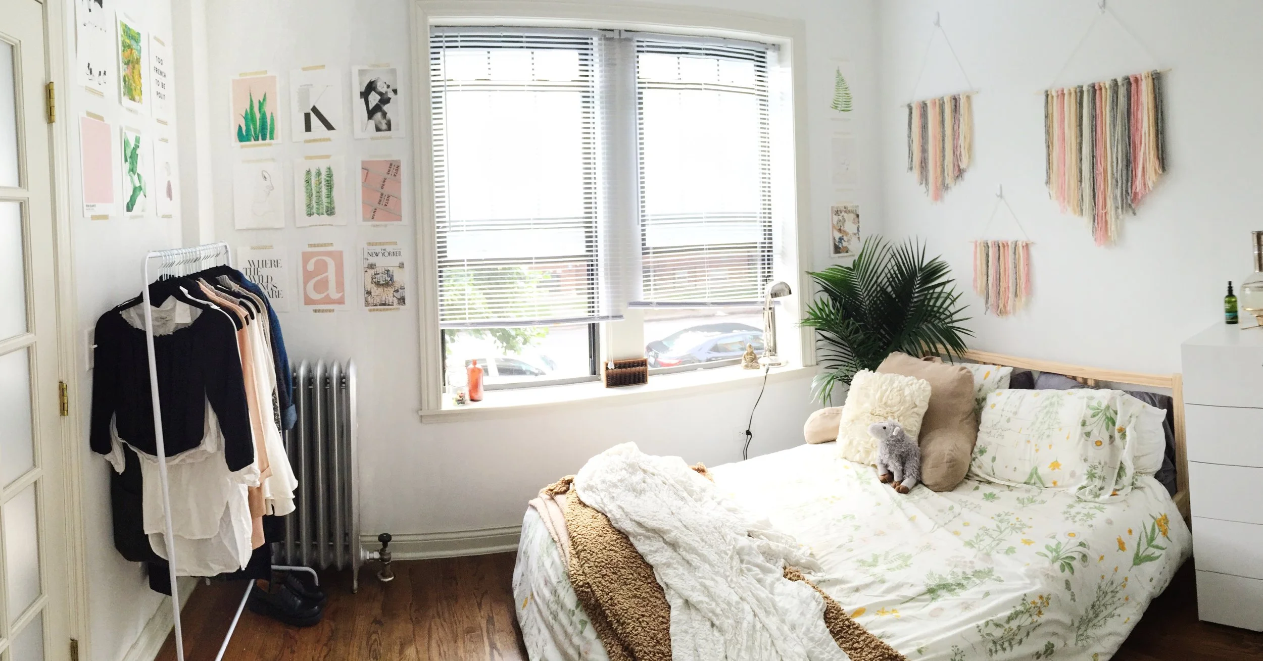 Putting it all together - my humble abode and IKEA sourced majesty palm. 