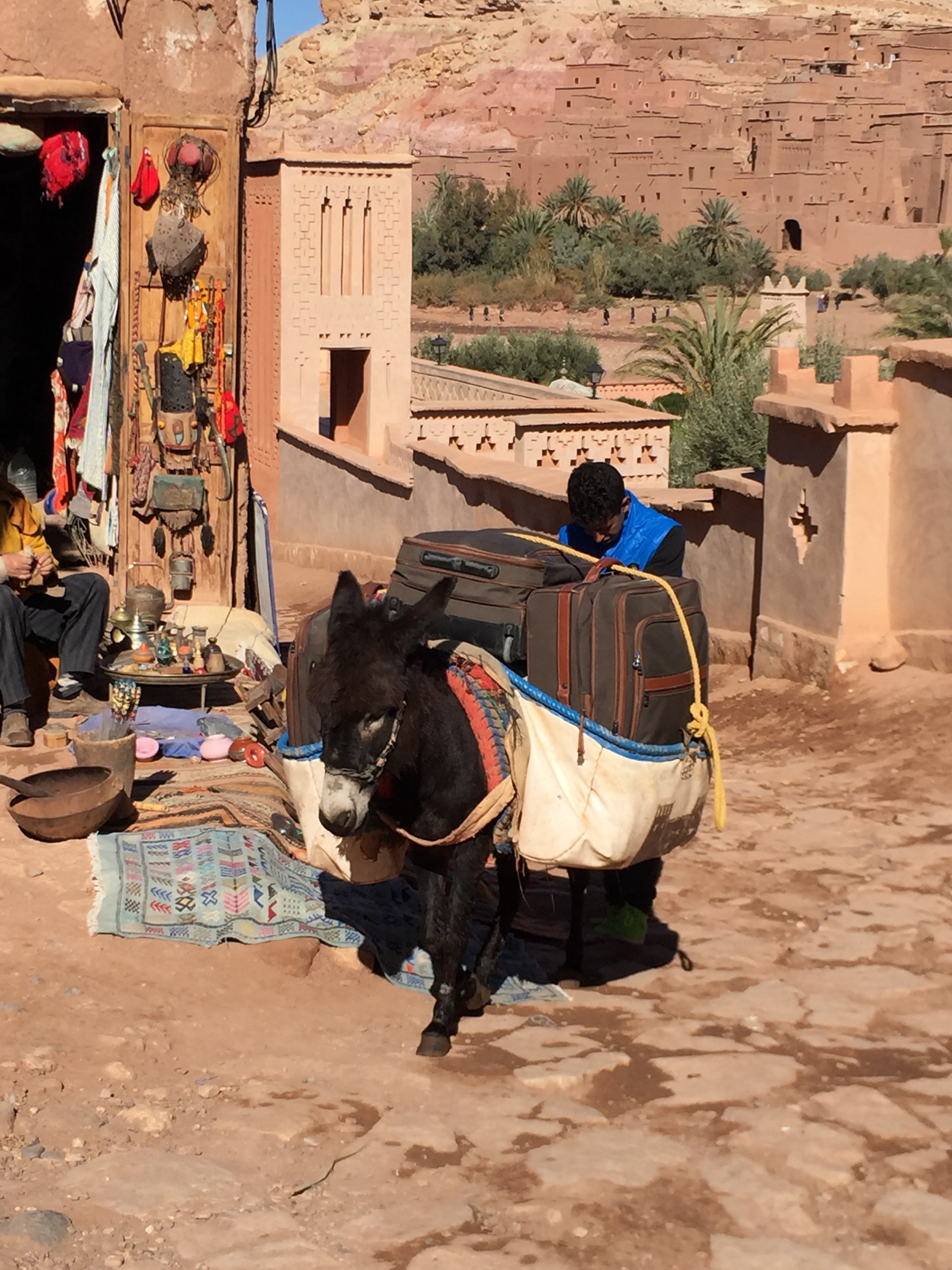 Donkeys are still used beasts of burden, pulling carts or carrying people, in the countryside and city alike. 