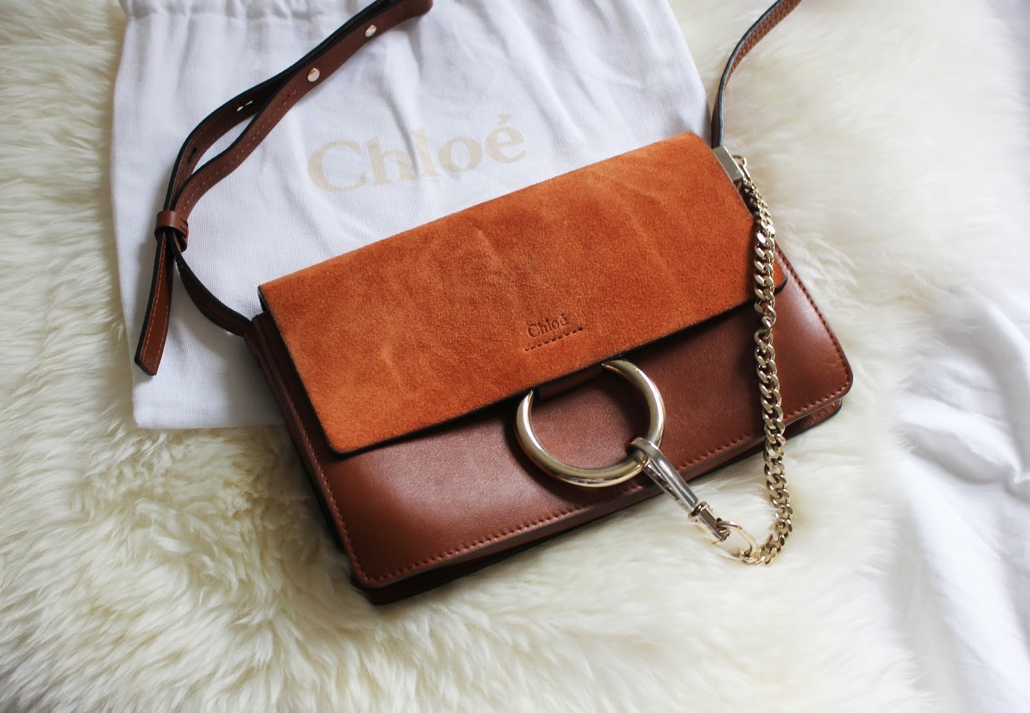 Bracelet or Bag: Why Not Both? — MODA