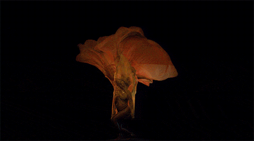 gif via