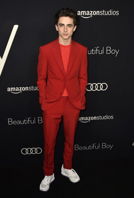 timothee-chalamet-red-carpet-style-beautiful-boy-18.jpg