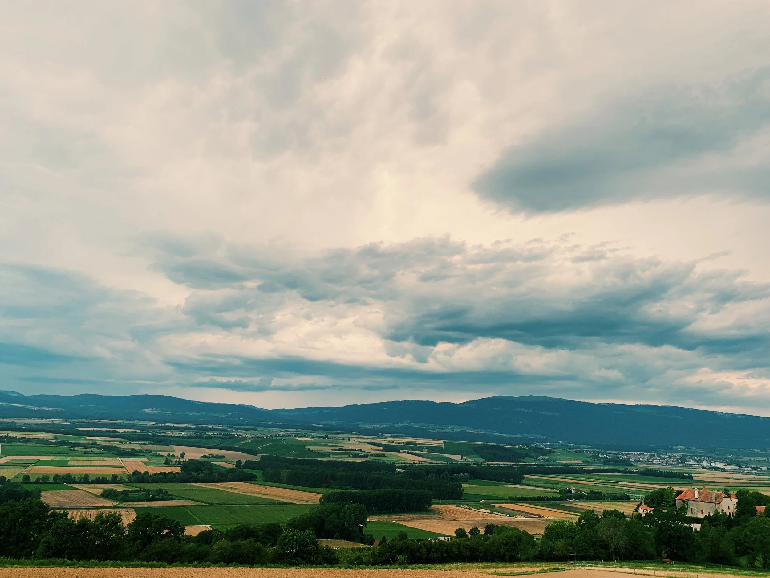Fields near Lausanne