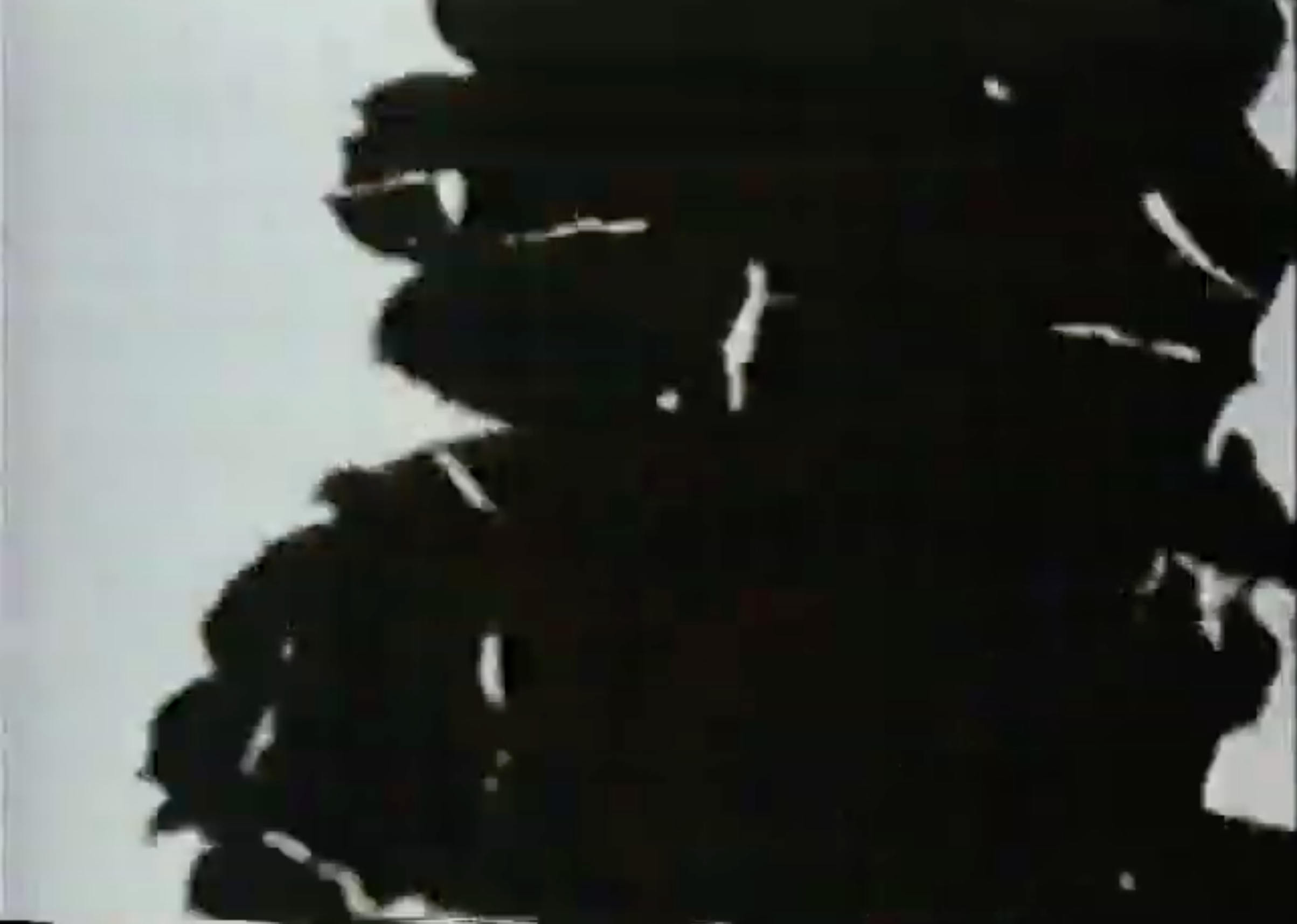 Screen Shot 2020-04-25 at 7.22.03 PM.png