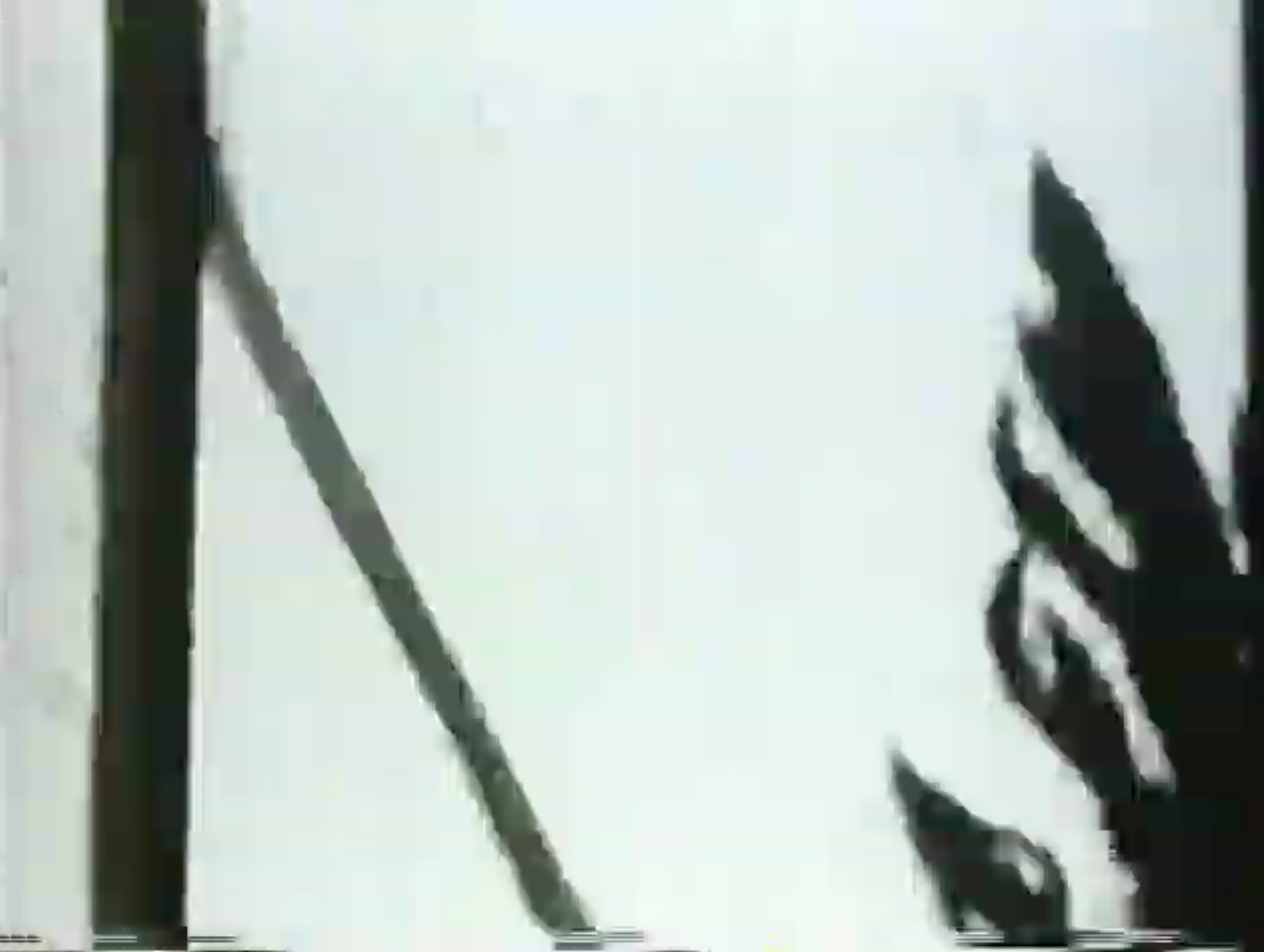 Screen Shot 2020-04-25 at 7.22.36 PM.png