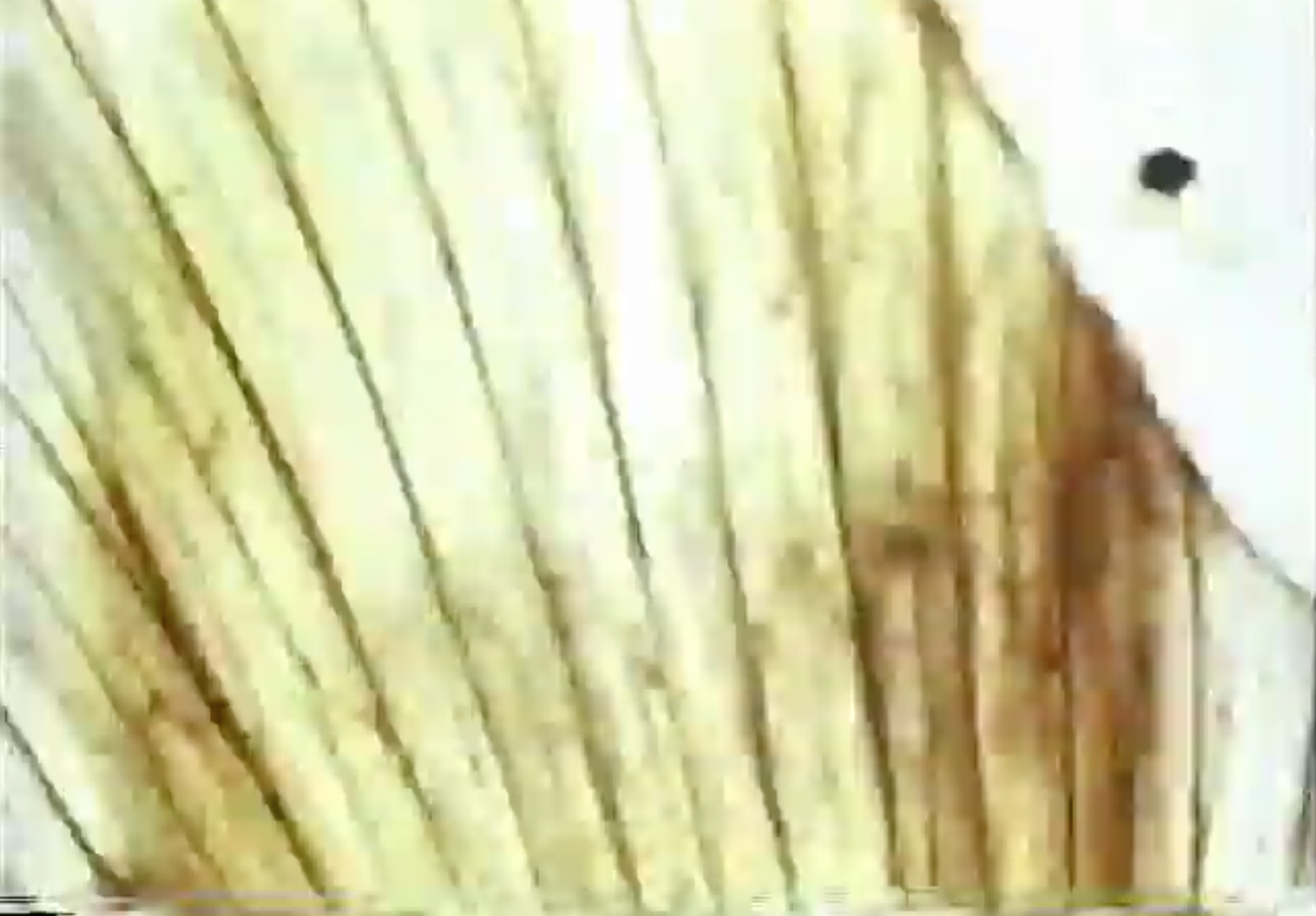 Screen Shot 2020-04-25 at 7.22.22 PM.png