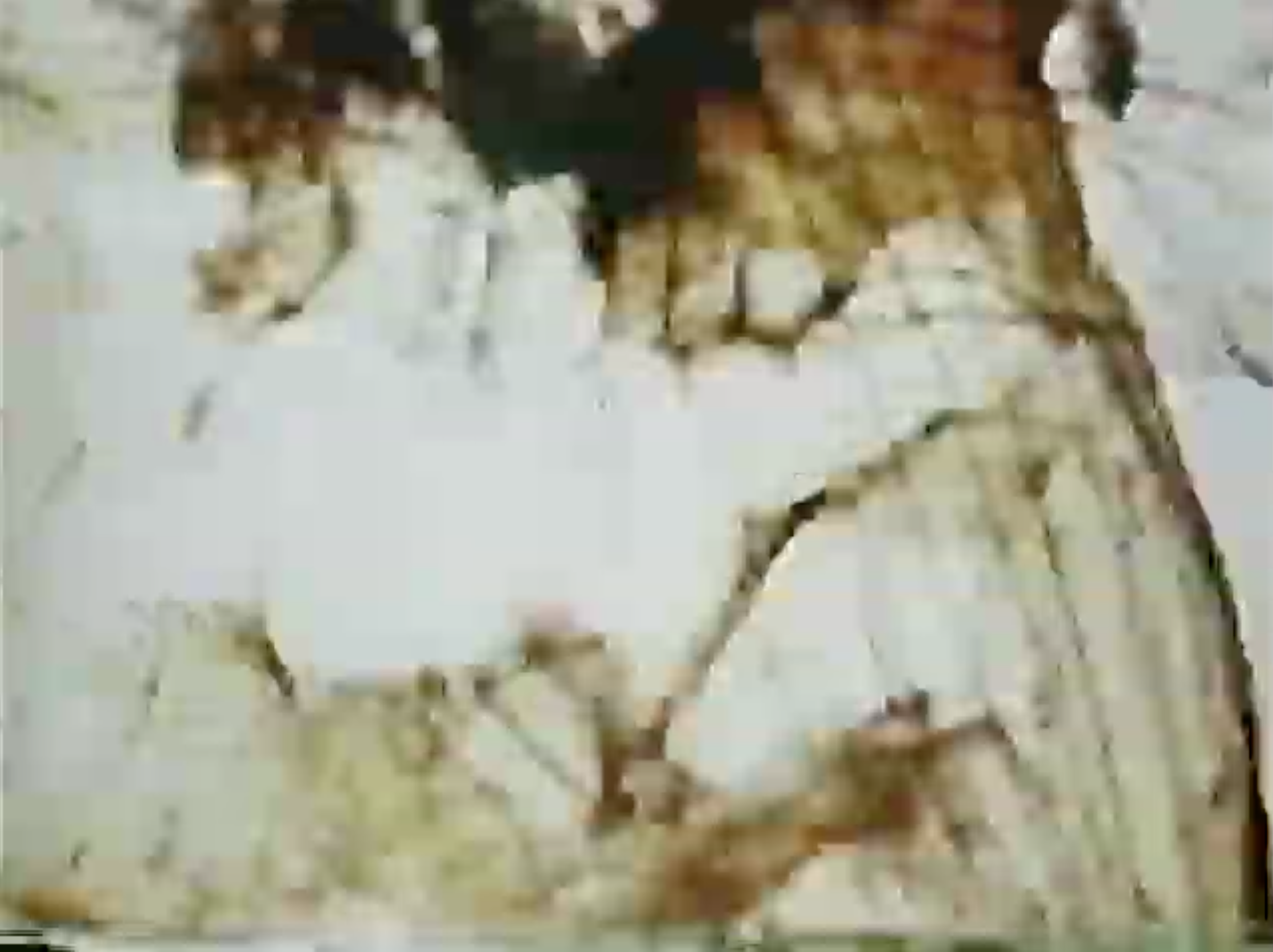 Screen Shot 2020-04-25 at 7.24.13 PM.png