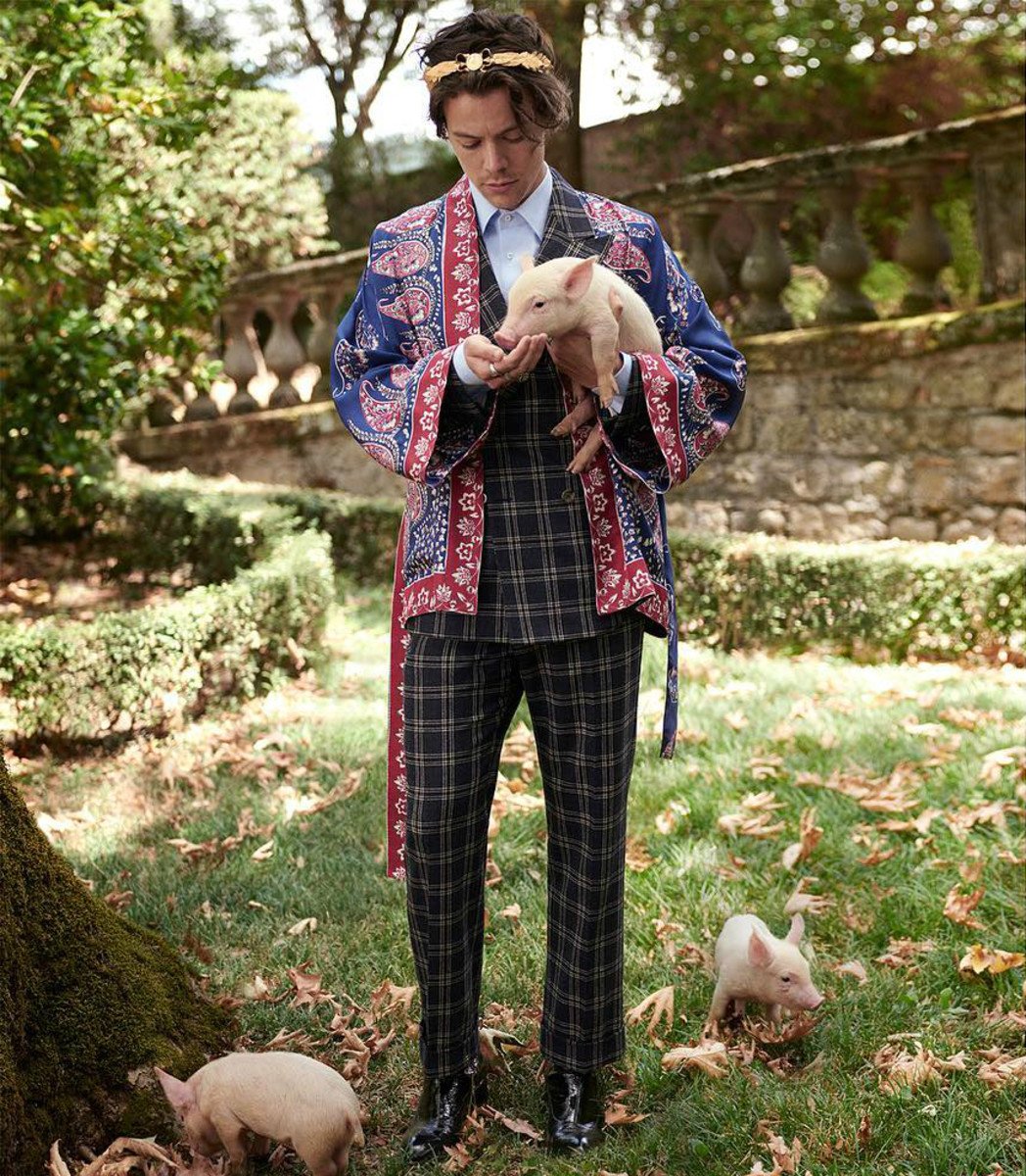 Harry Styles for Gucci Cruise 2019 Campaign