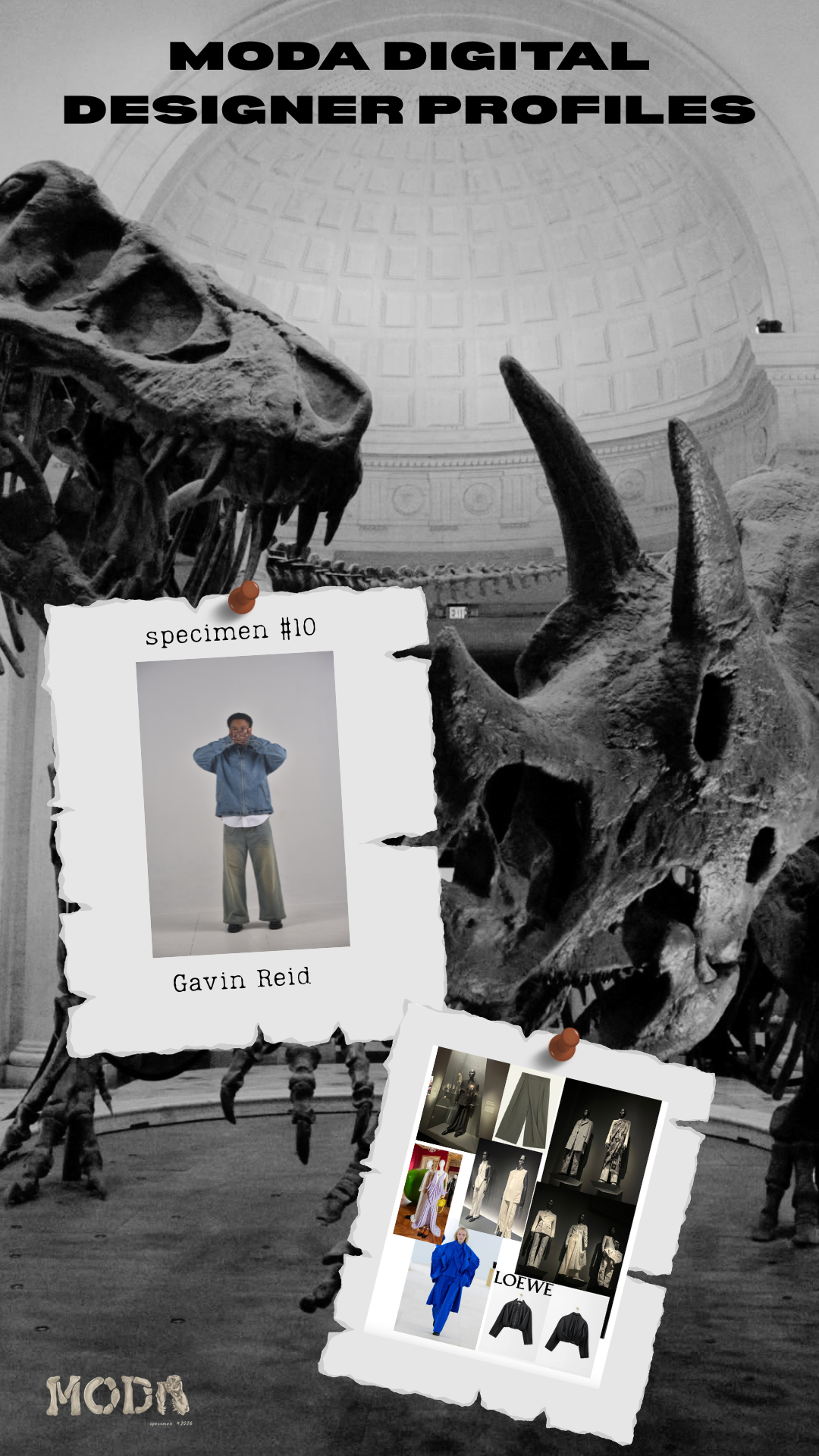 2026: Designer Profiles: Gavin Reed