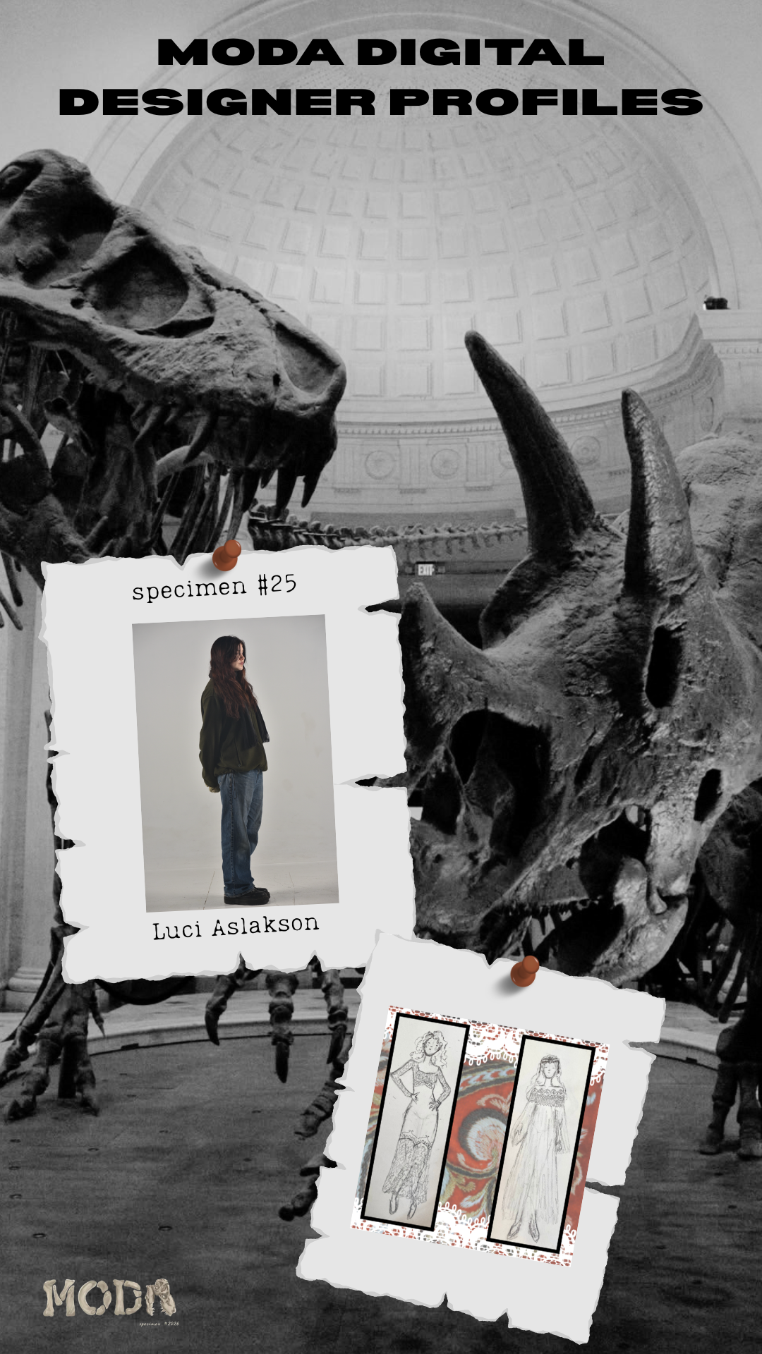 luci.png