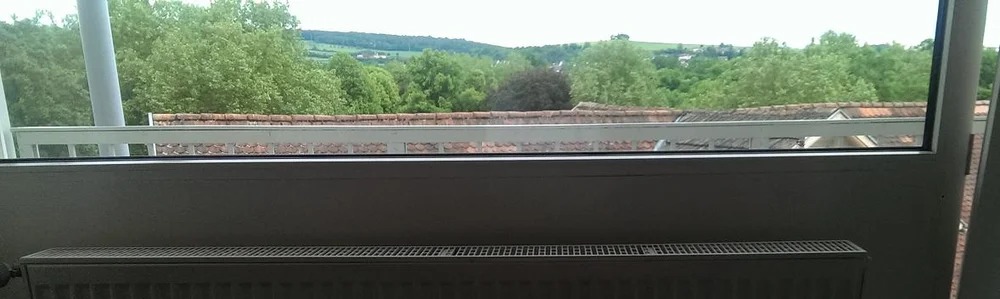 Colleen Flowers trees life is beautiful