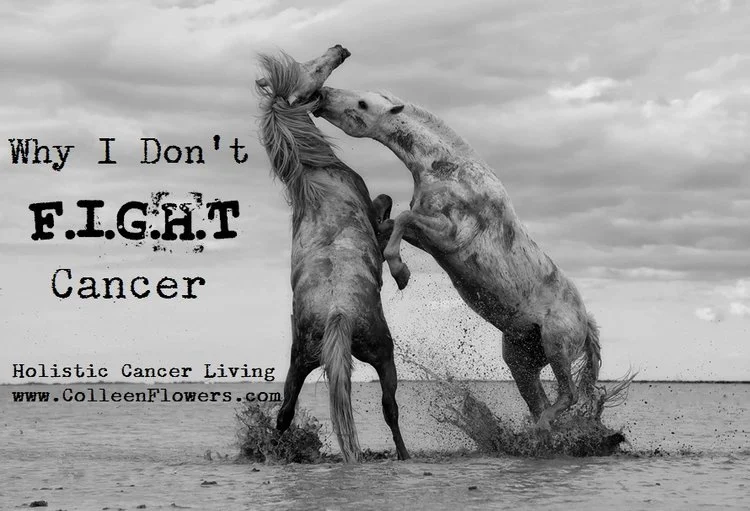 Why I Don't "Fight" Cancer - Part 1