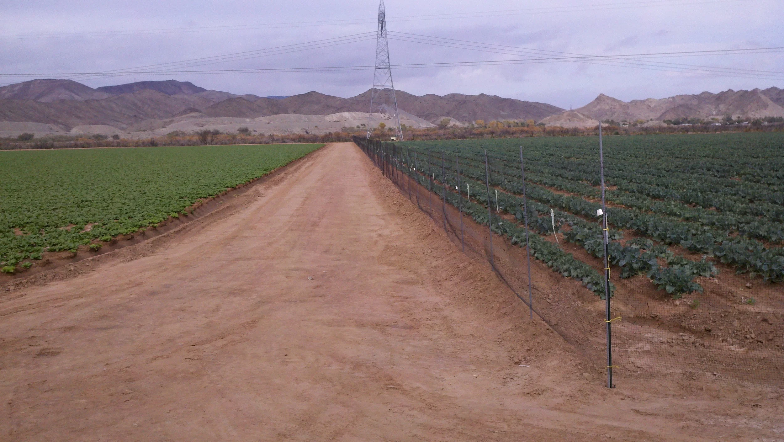 + Click on the image to view larger.