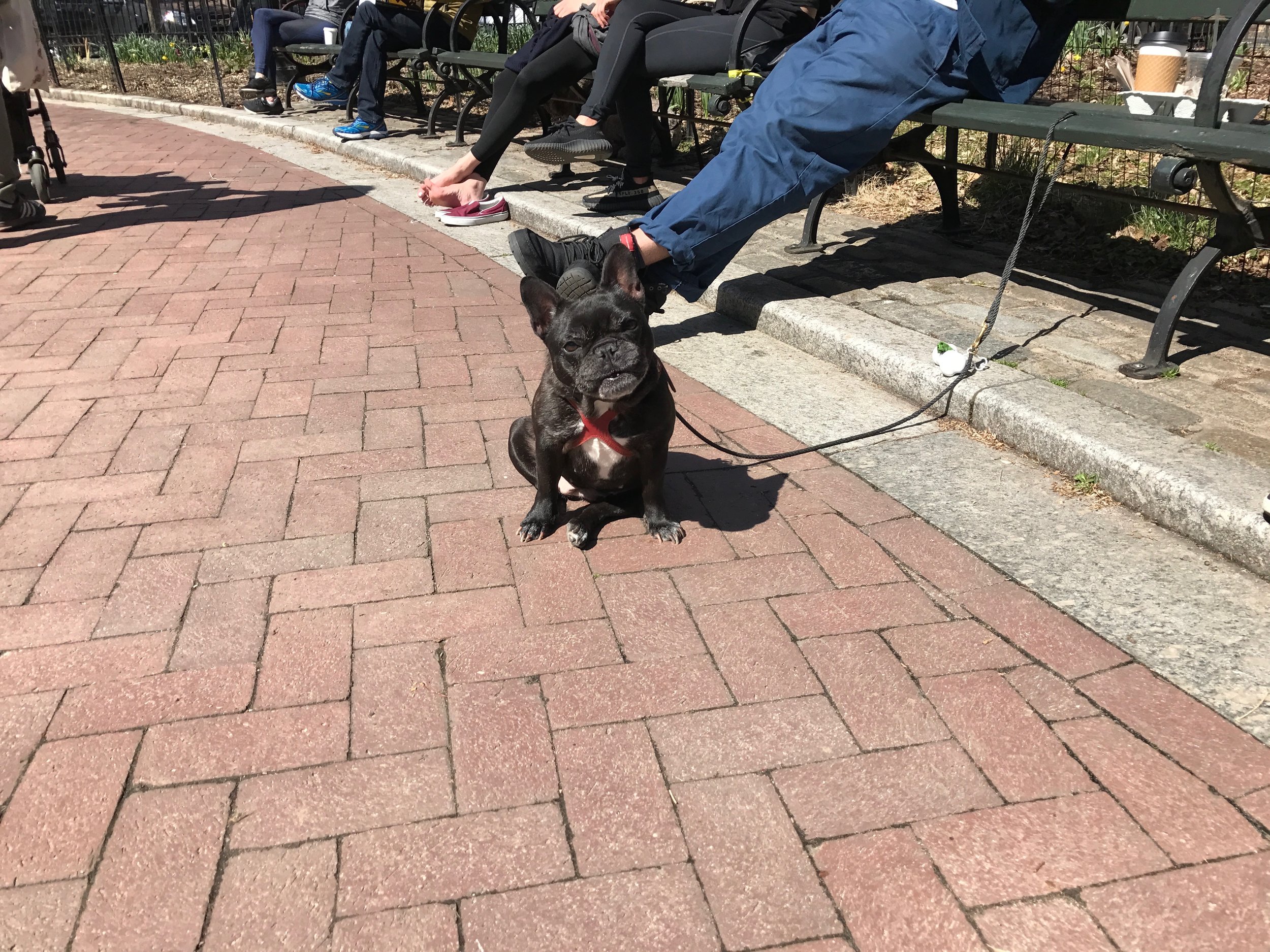The Goosey Girl, loving this spring weather as much (more?) as I am