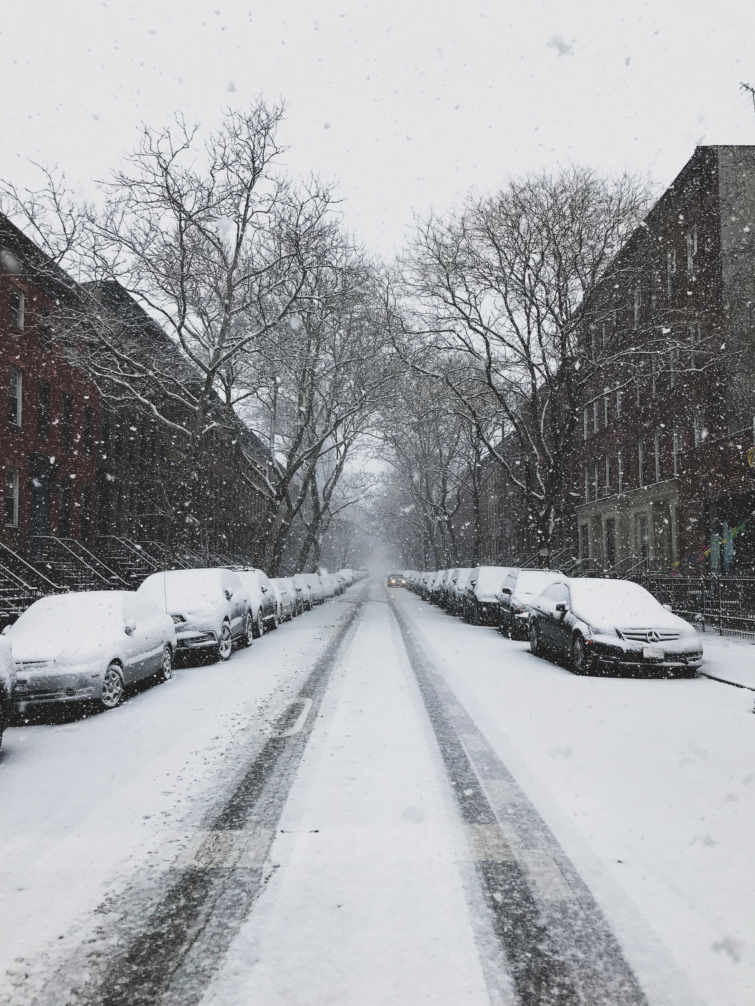  This island girl is never going to feel at home in the cold. But snow is pretty, though. 