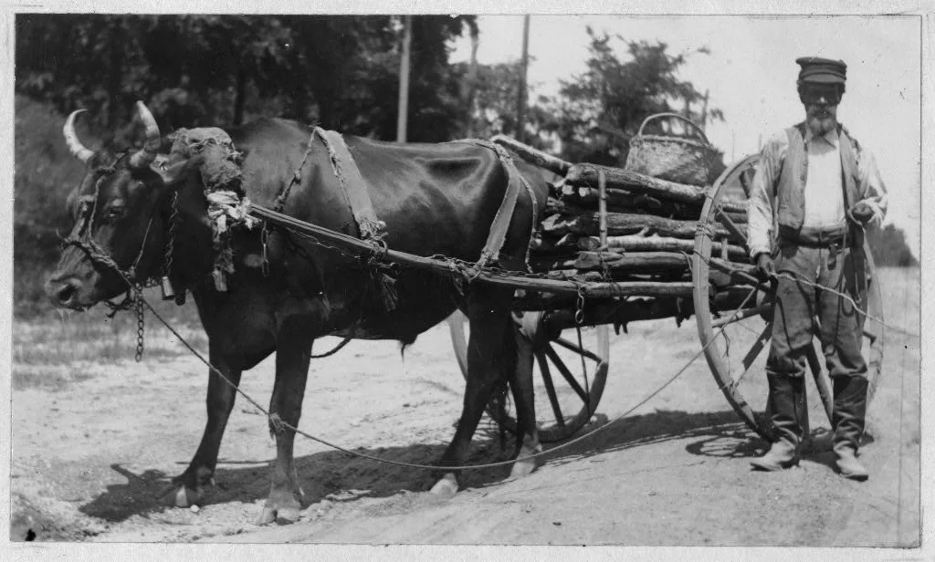Alonza Fantroy Toombs.jpg