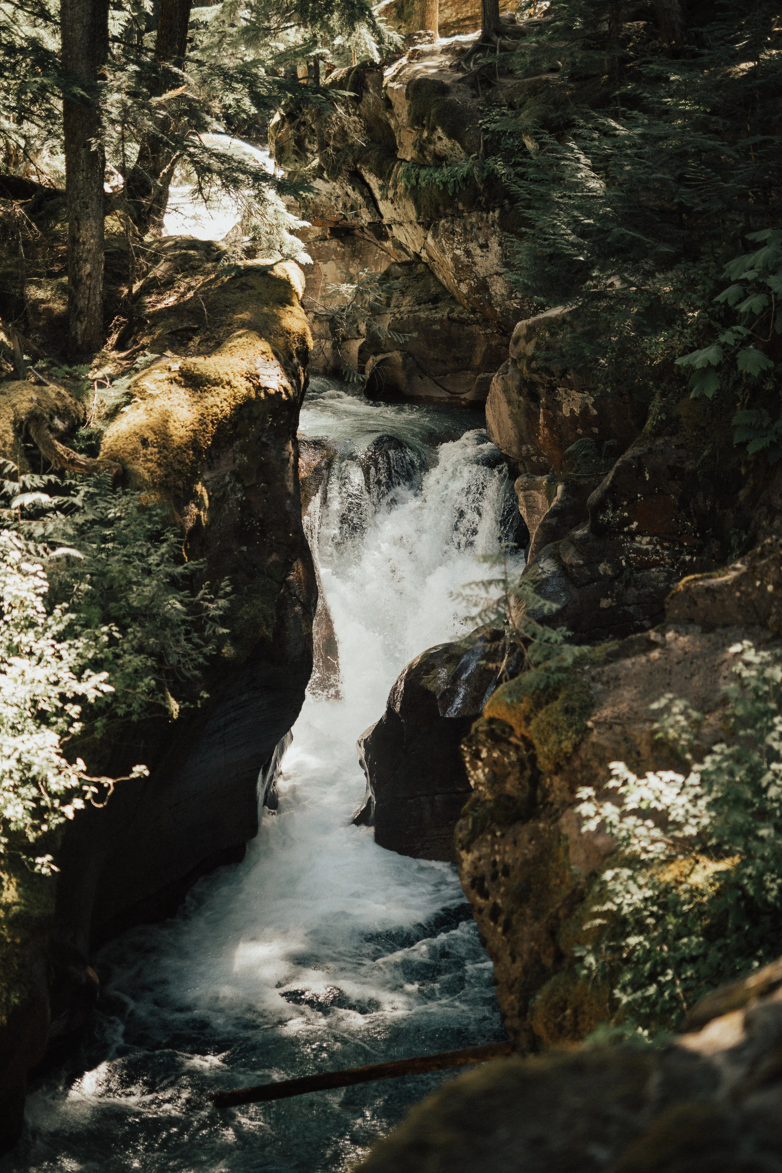 A75A9350.jpg