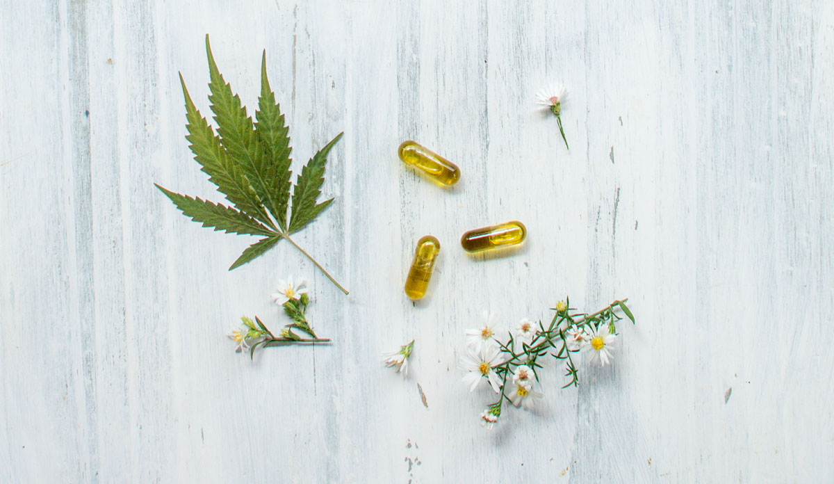 visualizes plant medicines for those learning about cbd isolate, full spectrum and broad spectrum