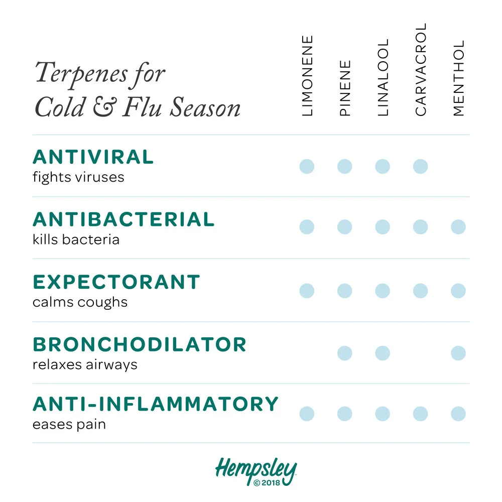 terpenes-cold-flu-season-cannabis-chart-hempsley.jpg