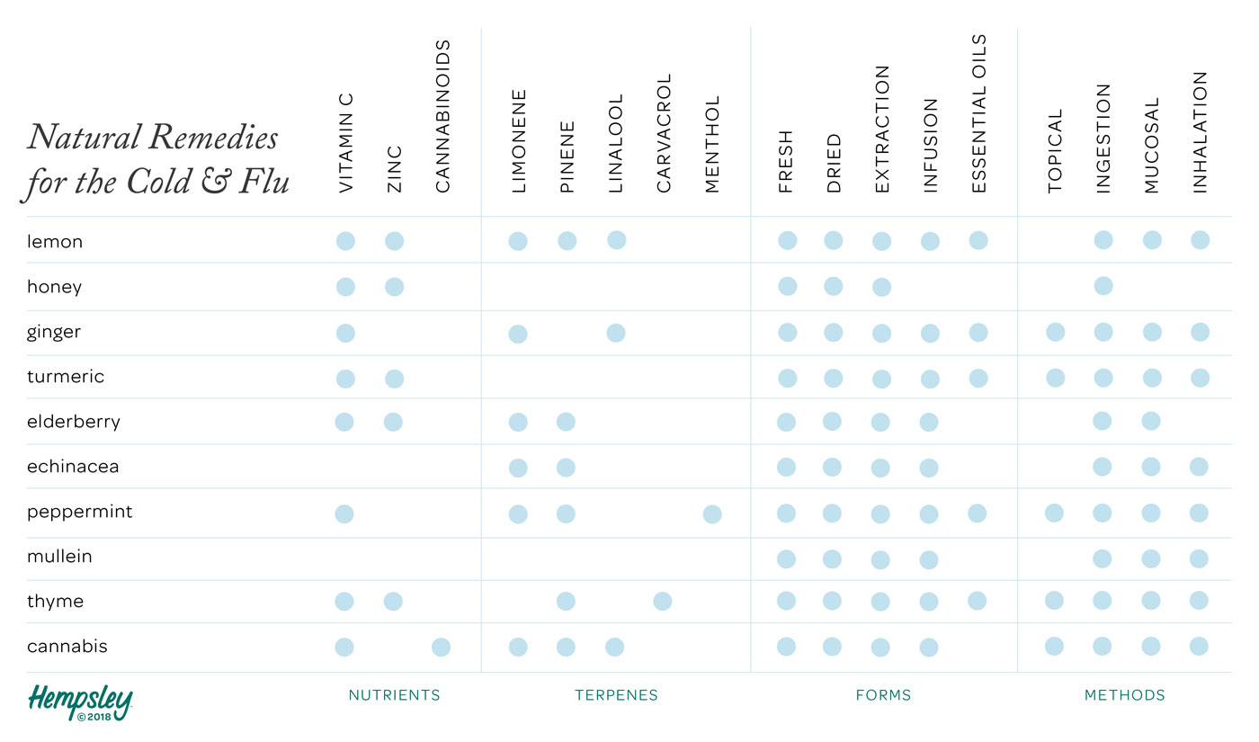 terpenes-cold-flu-season-cannabis-chart-hempsley.jpeg