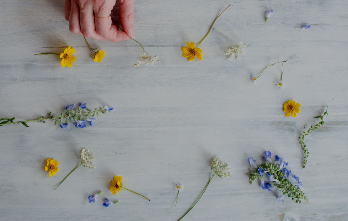 homepage-flowers-dark.jpg