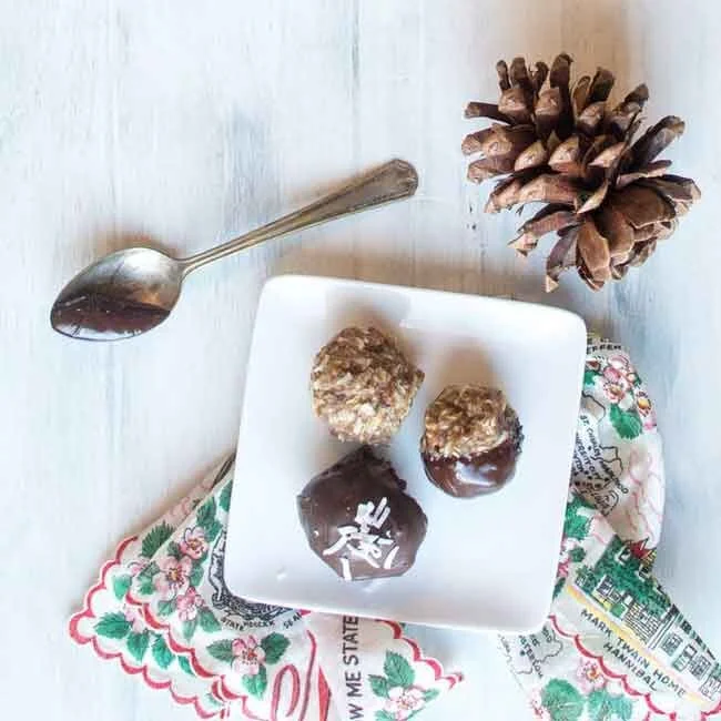 Peppermint, Coconut &amp; Dark Chocolate CBD Date Bites