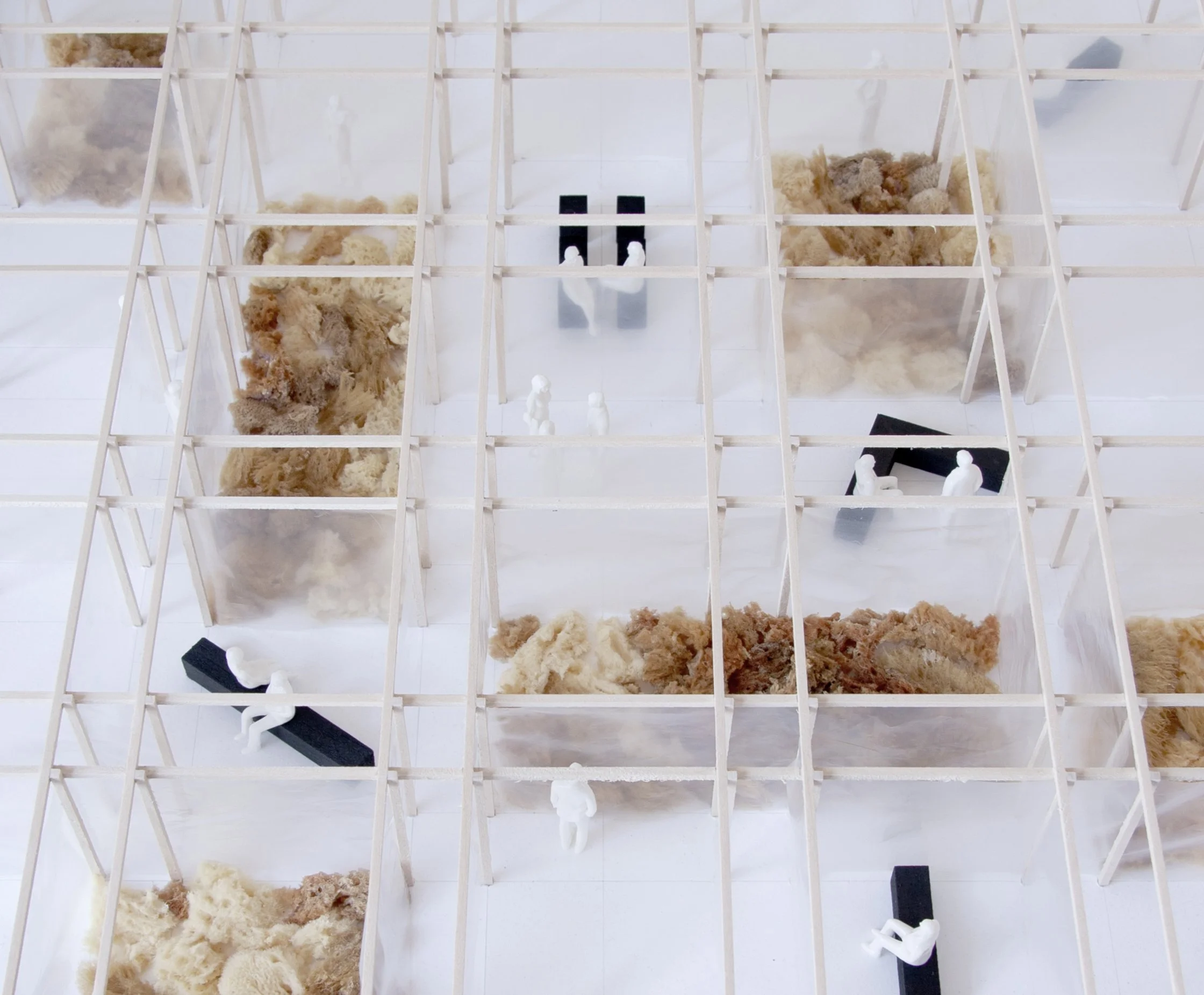 PAVILION 001 - 5.jpg