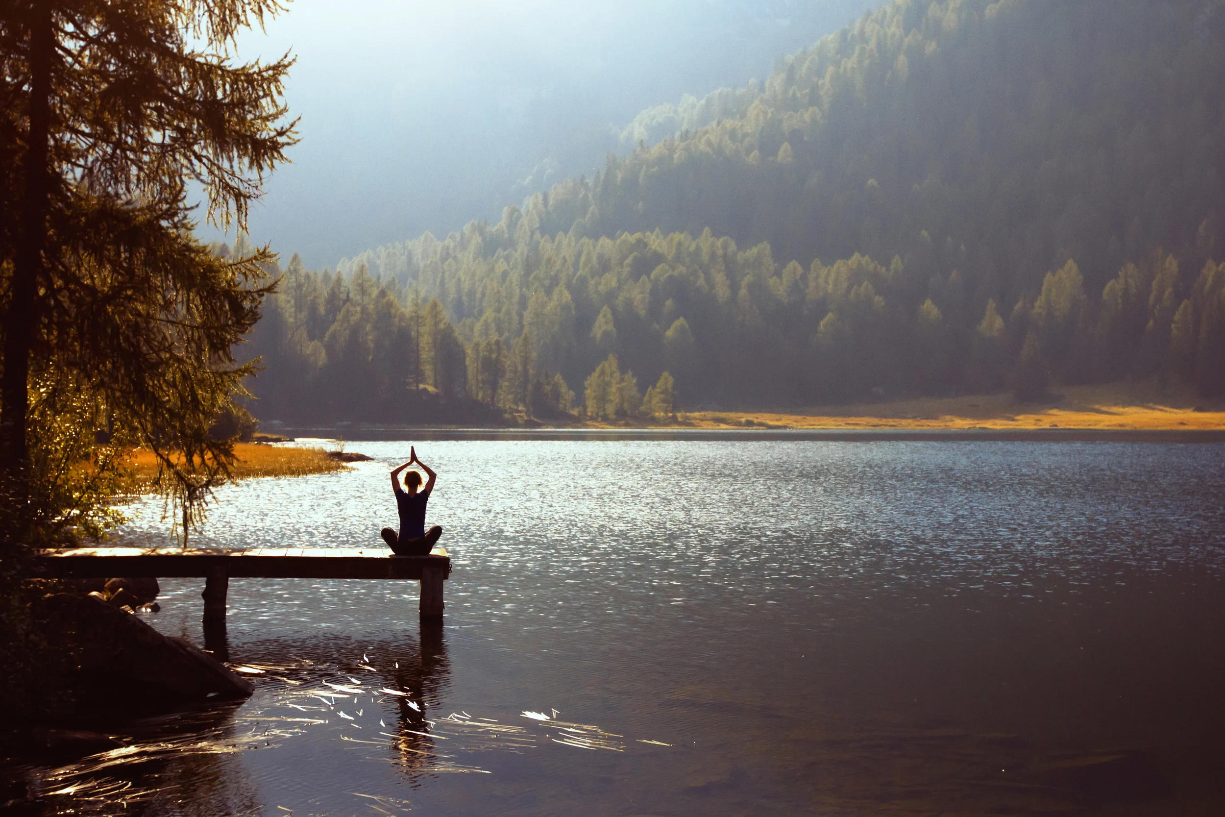 Photo by anyaberkut/iStock / Getty Images