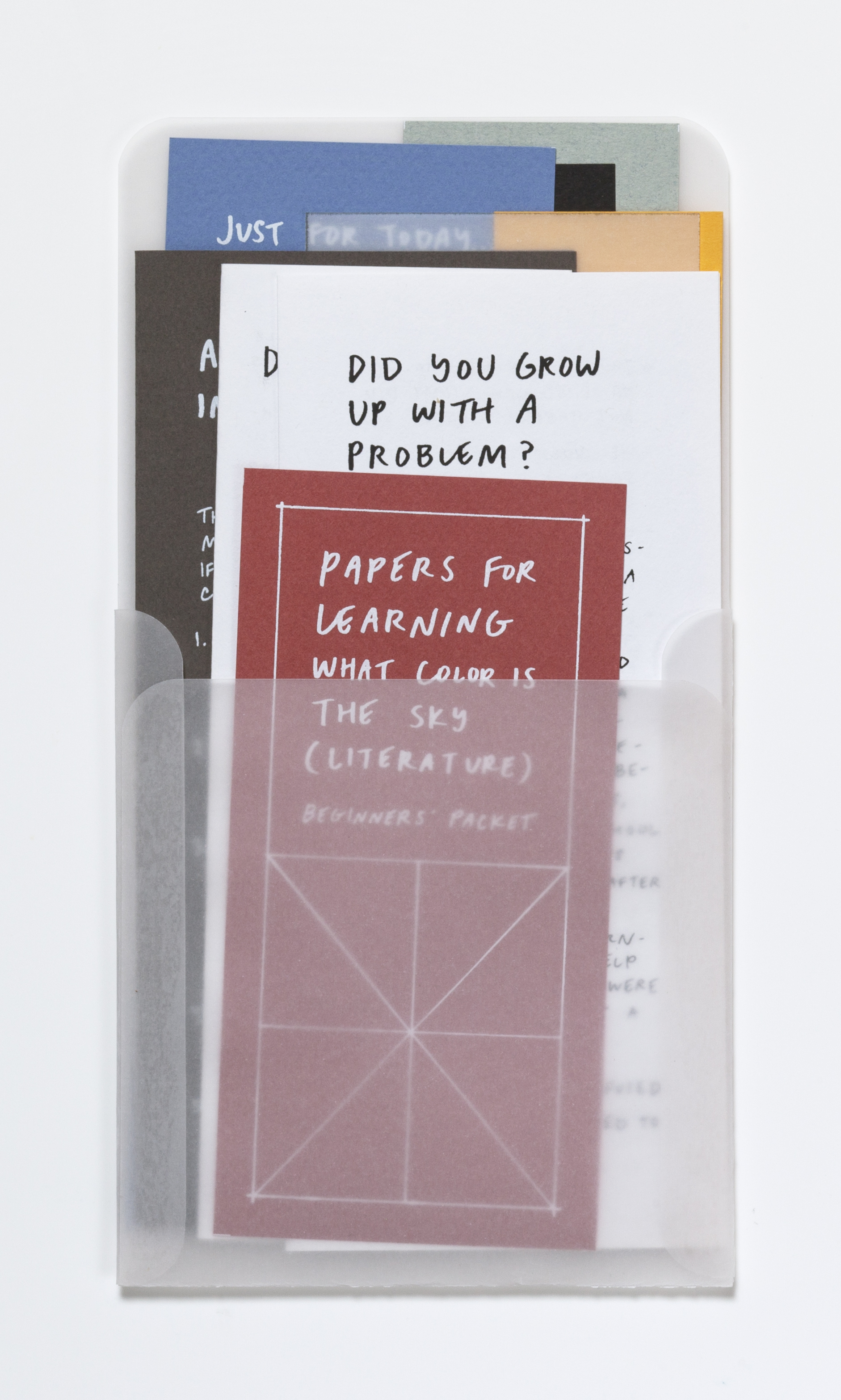    Papers for Learning What Color Is the Sky (Literature): Beginners’ Packet,  2018  Silkscreen and inkjet prints on paper Packet: 9 5/8 x 5 inches with prints of variable dimensions 