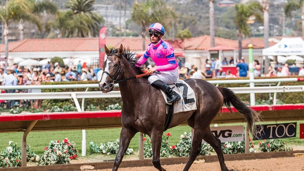 Cheekaboomboom+horse