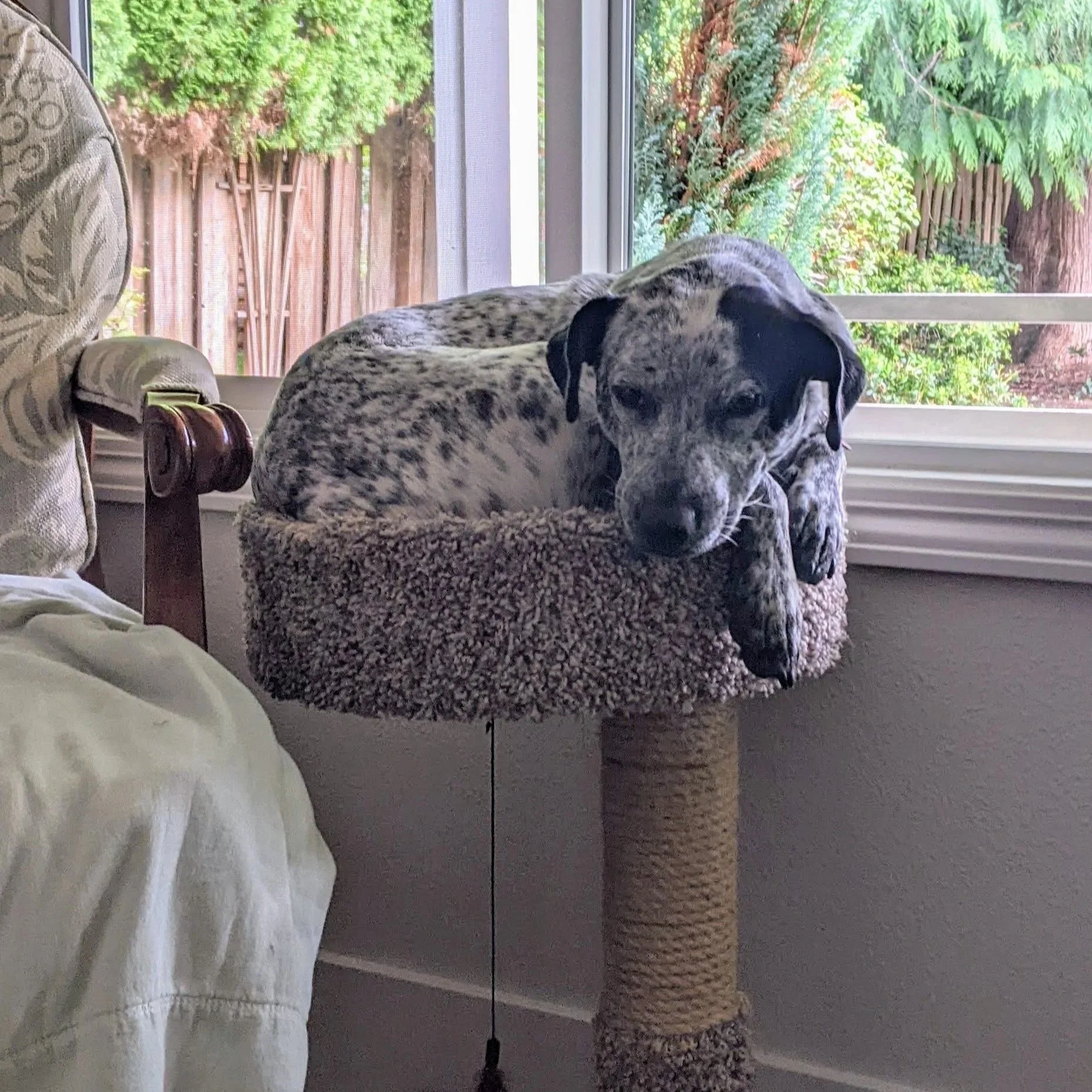 Pepper’s Winter Wisdom