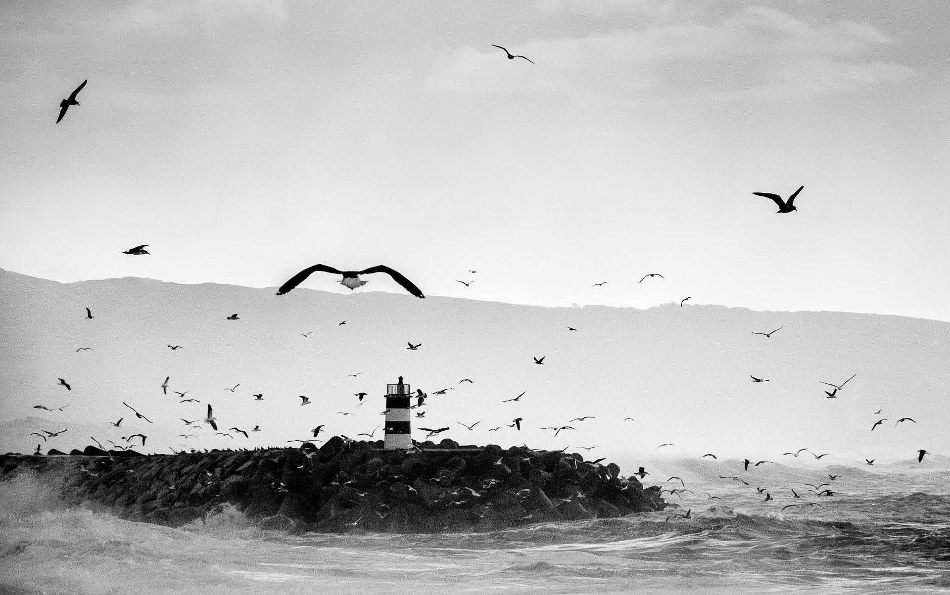 Tempestuous Sea III