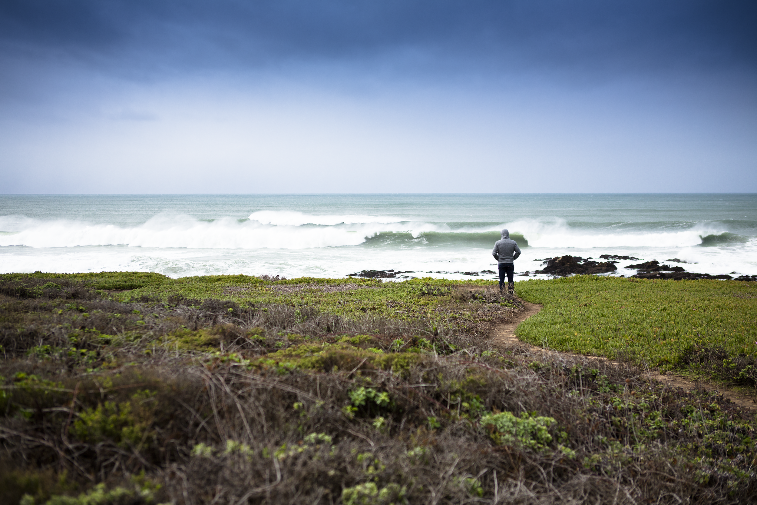 SurfSearch_Barry.png